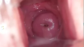 442 softcore porn videos